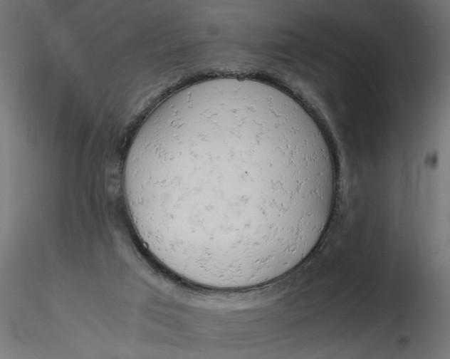 X0000116660017200912291647