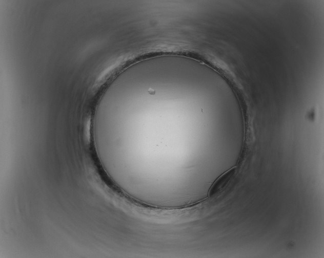 X0000116660019200912291647