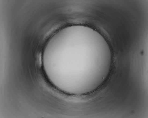 X0000116660020200912291647