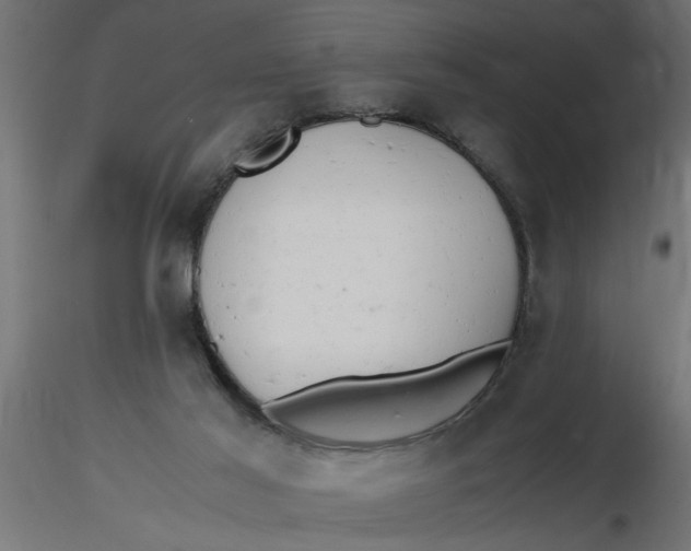 X0000116660021200912291647