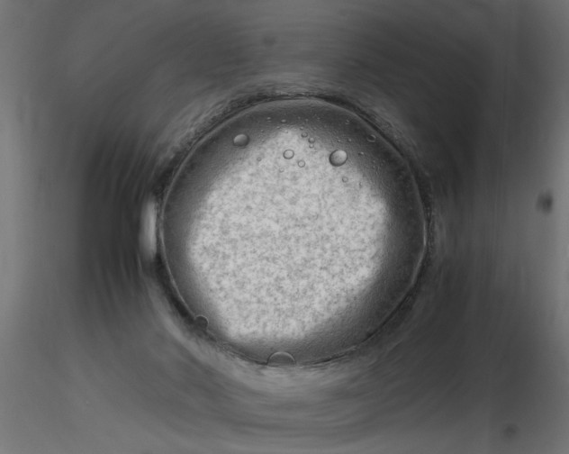 X0000116660022200912291647