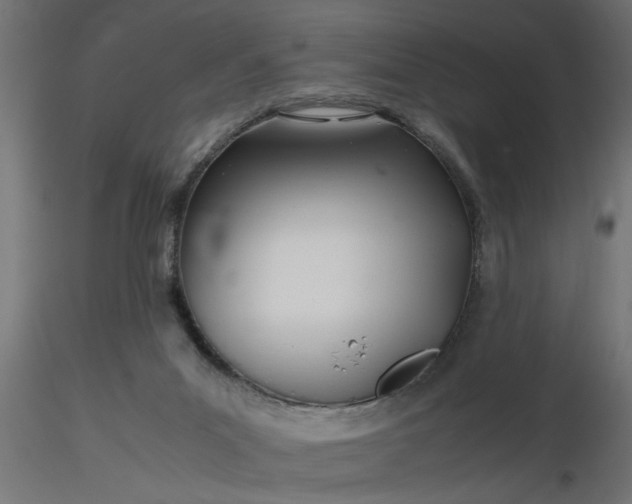 X0000116660023200912291647