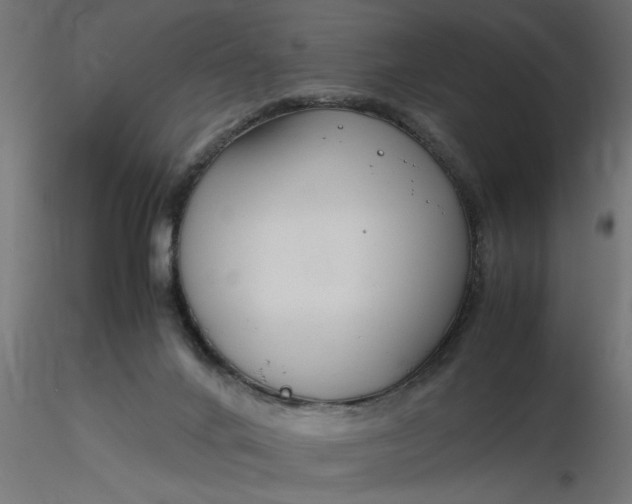 X0000116660024200912291647