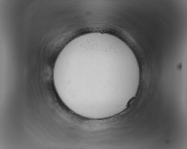 X0000116660025200912291647