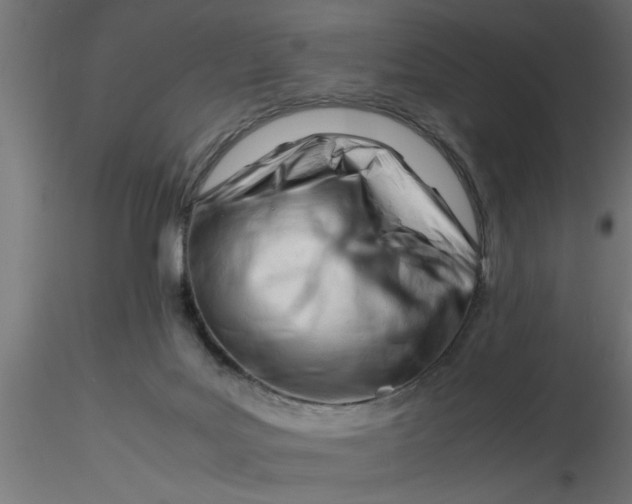 X0000116660027200912291647