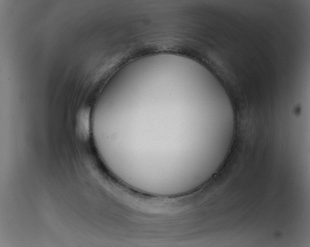 X0000116660028200912291647