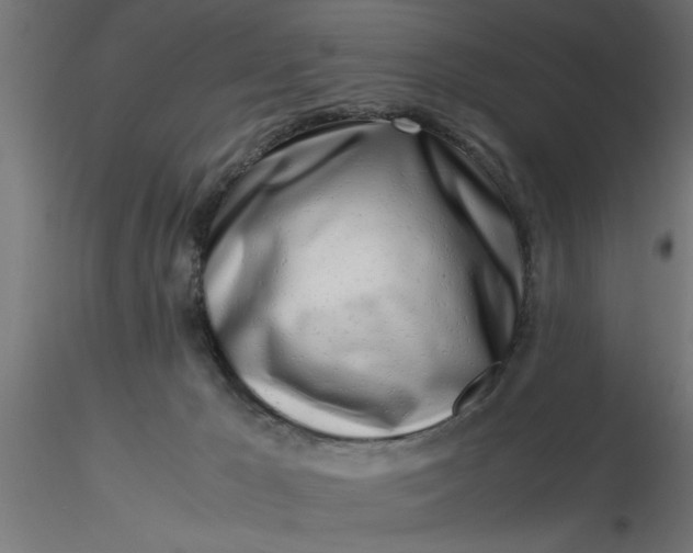 X0000116660029200912291647