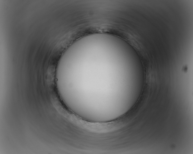 X0000116660030200912291647