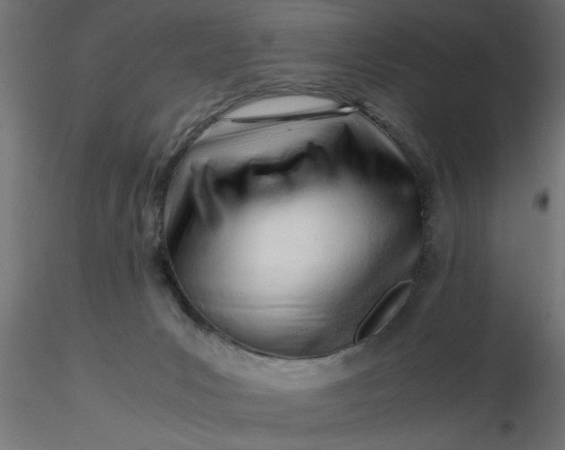 X0000116660031200912291647