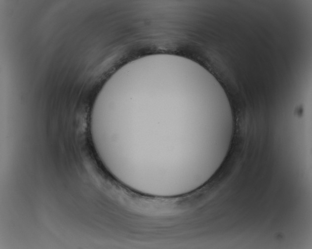 X0000116660032200912291647