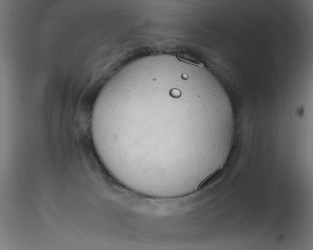 X0000116660033200912291647