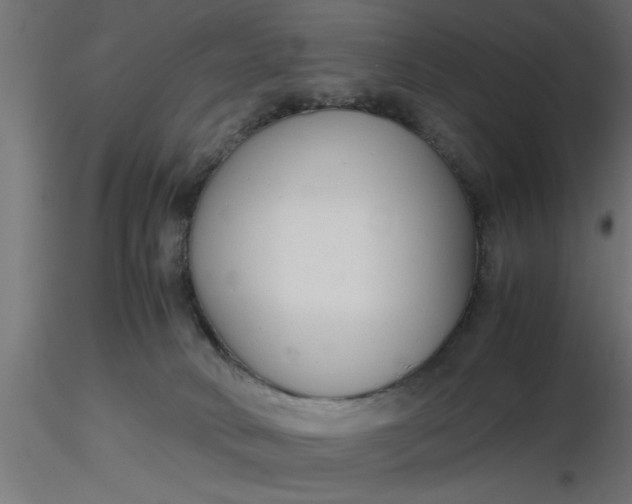 X0000116660034200912291647