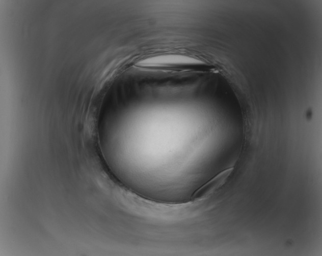 X0000116660035200912291646