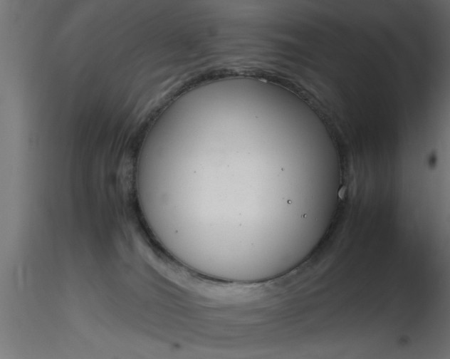 X0000116660036200912291646