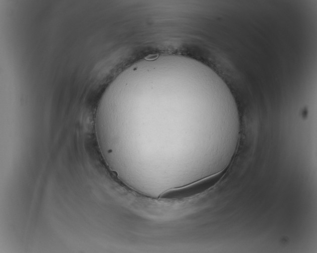 X0000116660037200912291646