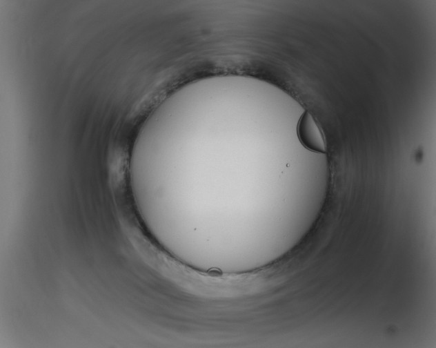 X0000116660038200912291646