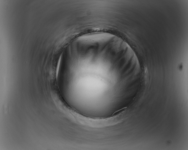 X0000116660039200912291646