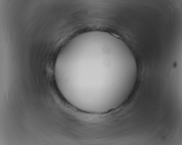 X0000116660040200912291646