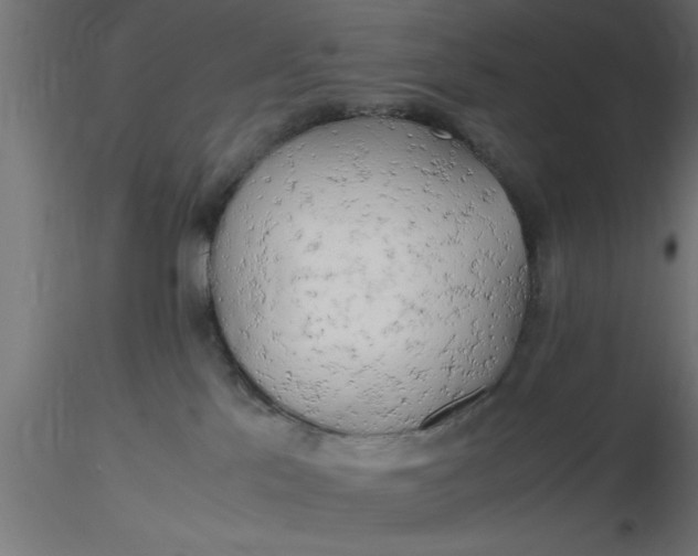 X0000116660041200912291646