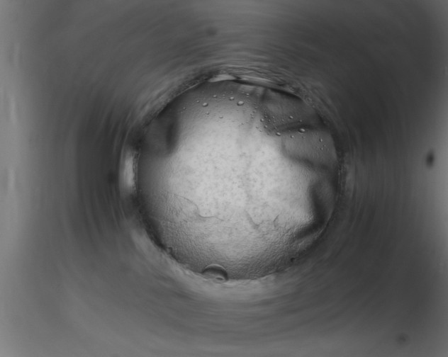 X0000116660042200912291646