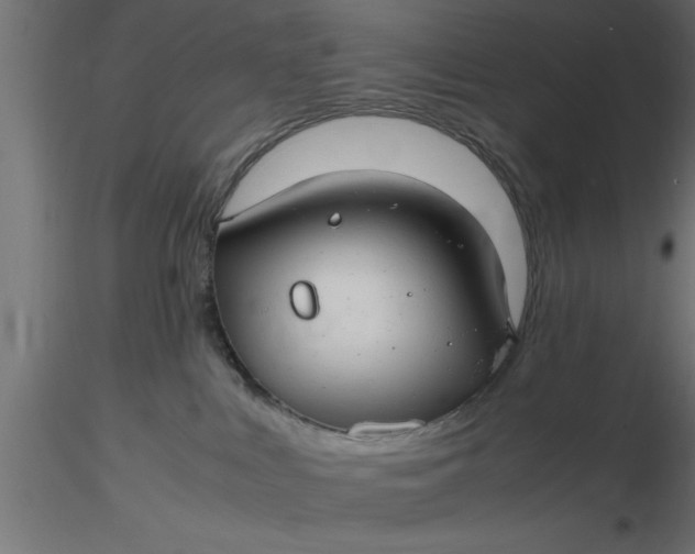 X0000116660043200912291646