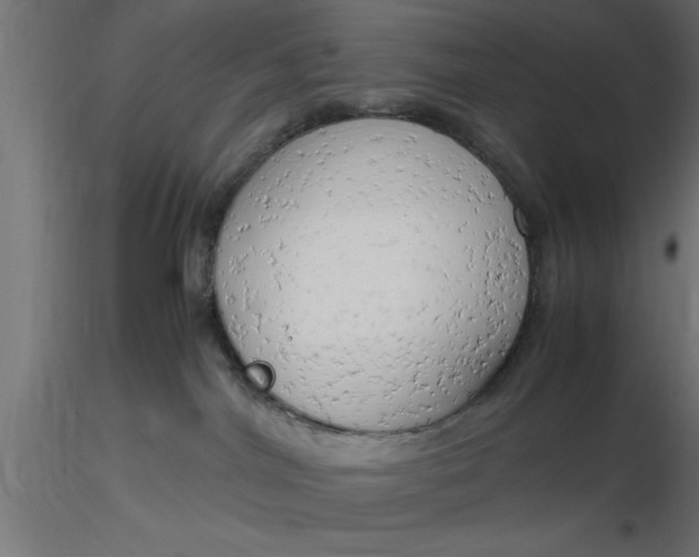 X0000116660044200912291646