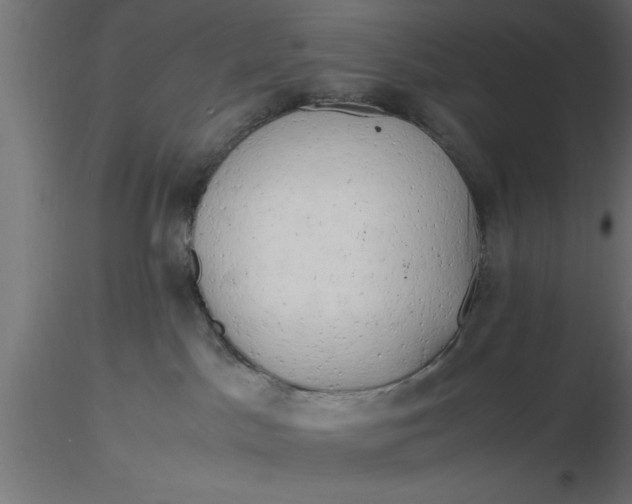 X0000116660045200912291646