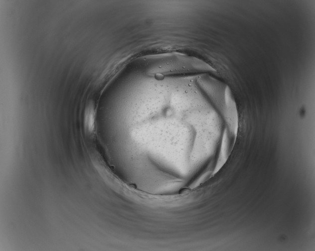 X0000116660046200912291646