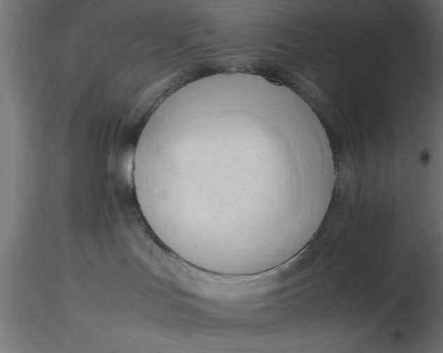 X0000116660047200912291646