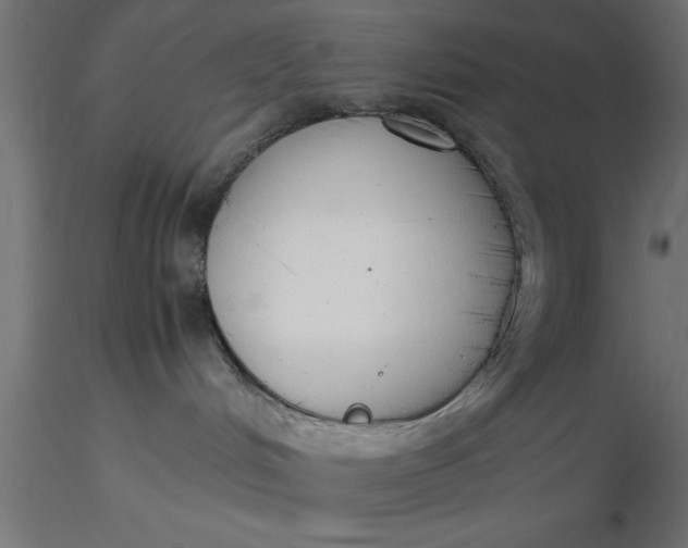 X0000116660048200912291646