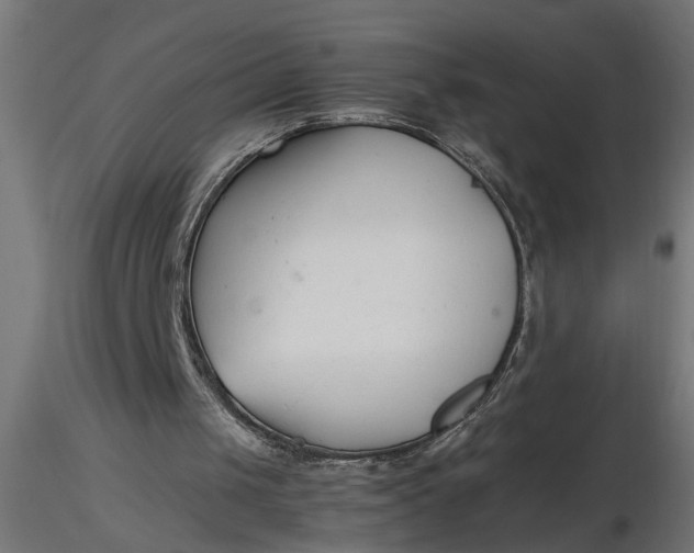 X0000116660049200912291646