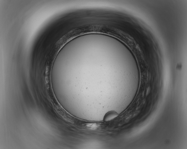 X0000116660050200912291646