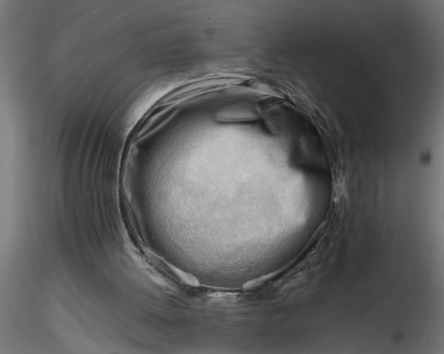 X0000116660052200912291646