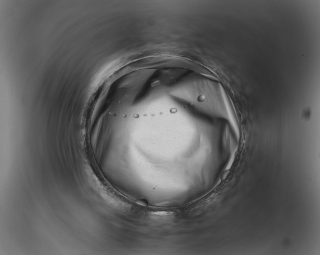 X0000116660053200912291646