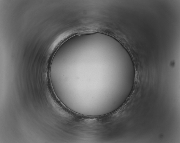 X0000116660054200912291646