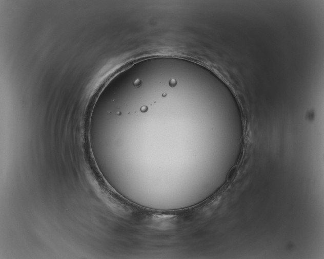 X0000116660055200912291646