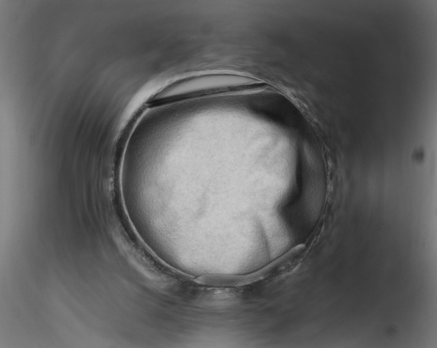 X0000116660056200912291646