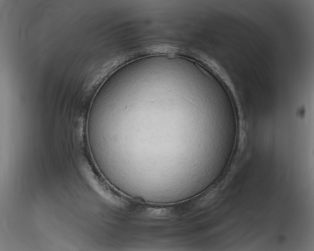 X0000116660057200912291646