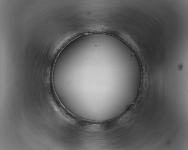 X0000116660058200912291646