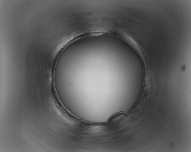 X0000116660059200912291646