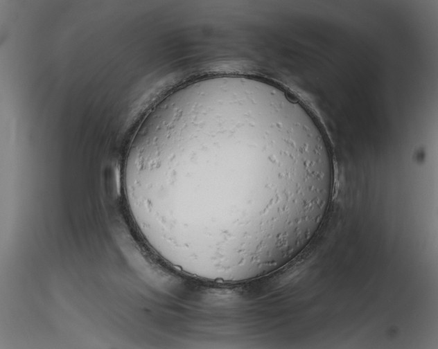 X0000116660061200912291646