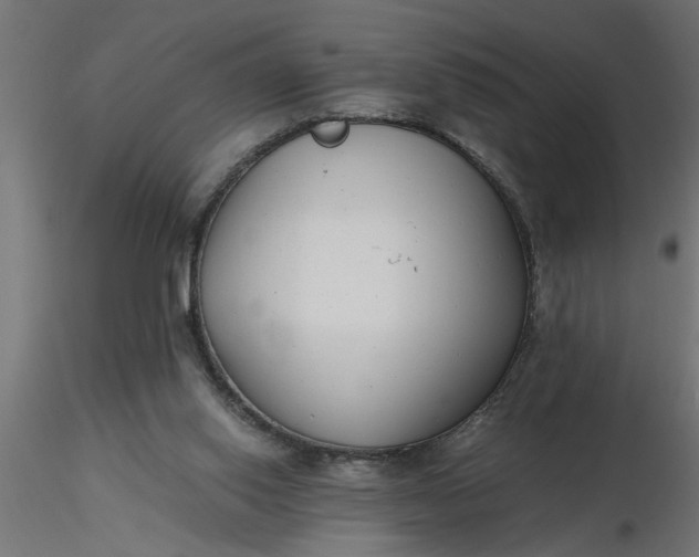 X0000116660062200912291646