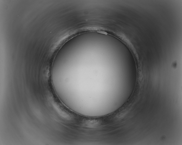 X0000116660063200912291646