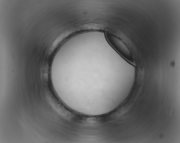 X0000116660064200912291646