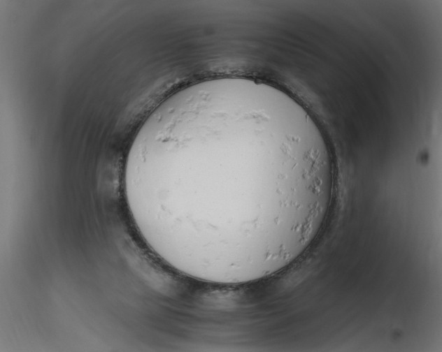 X0000116660065200912291646