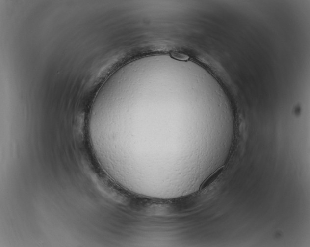 X0000116660066200912291646