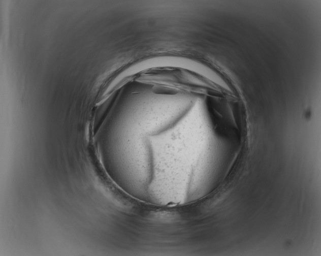 X0000116660067200912291646