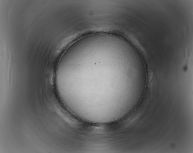 X0000116660068200912291646