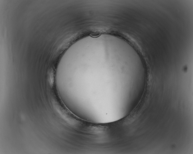 X0000116660069200912291646