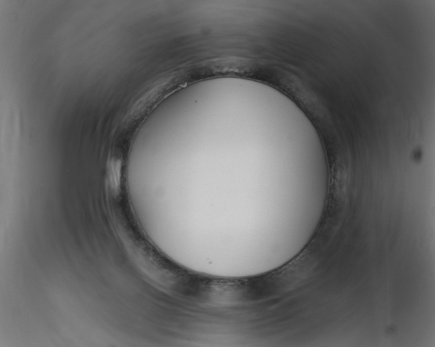 X0000116660070200912291646